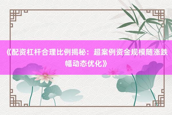《配资杠杆合理比例揭秘：超案例资金规模随涨跌幅动态优化》