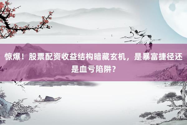 惊爆！股票配资收益结构暗藏玄机，是暴富捷径还是血亏陷阱？