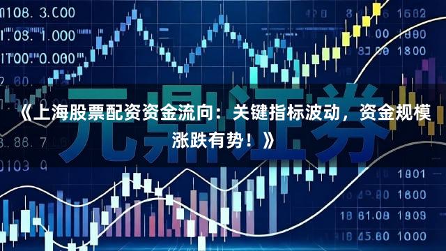 《上海股票配资资金流向：关键指标波动，资金规模涨跌有势！》