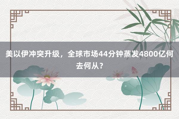 美以伊冲突升级，全球市场44分钟蒸发4800亿何去何从？