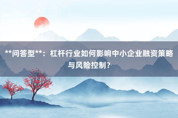 **问答型**：杠杆行业如何影响中小企业融资策略与风险控制？