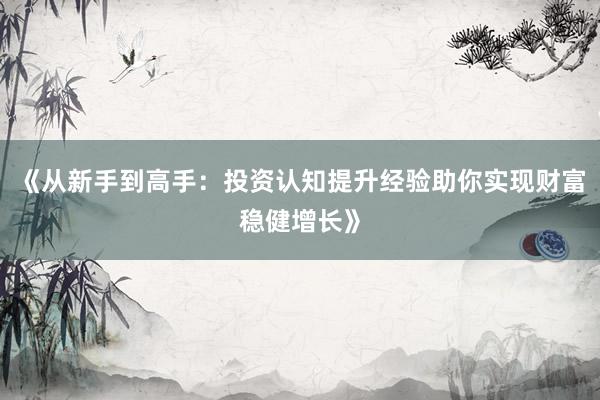 《从新手到高手：投资认知提升经验助你实现财富稳健增长》