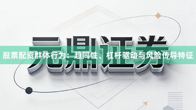 股票配资群体行为：趋同性、杠杆驱动与风险传导特征