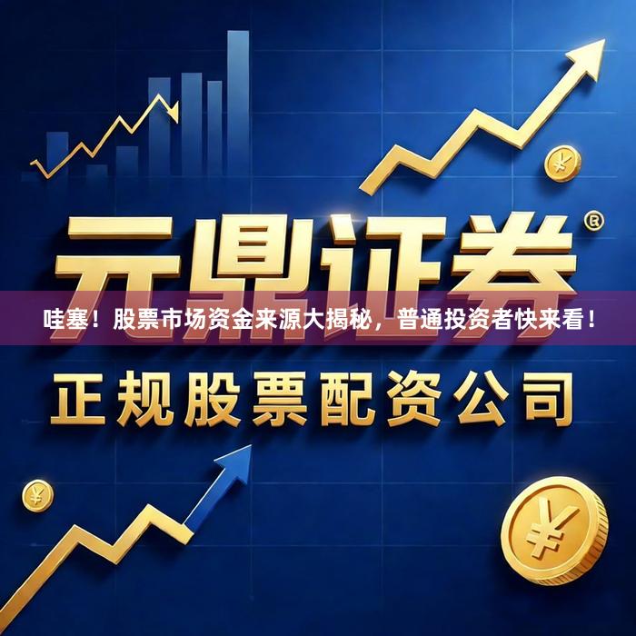 哇塞！股票市场资金来源大揭秘，普通投资者快来看！