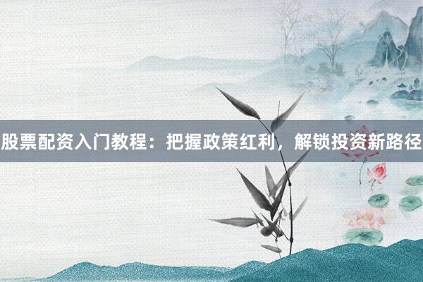 股票配资入门教程：把握政策红利，解锁投资新路径