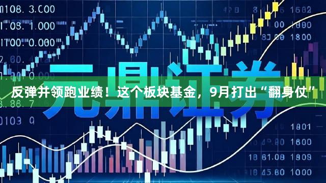 反弹并领跑业绩！这个板块基金，9月打出“翻身仗”