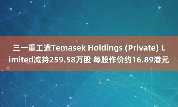 三一重工遭Temasek Holdings (Private) Limited减持259.58万股 每股作价约16.89港元