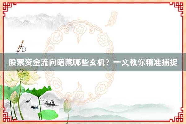 股票资金流向暗藏哪些玄机？一文教你精准捕捉