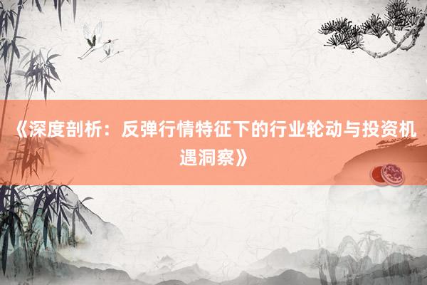 《深度剖析：反弹行情特征下的行业轮动与投资机遇洞察》