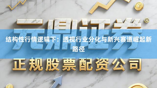 结构性行情逻辑下:透视行业分化与新兴赛道崛起新路径