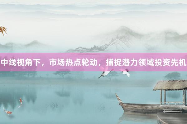 中线视角下，市场热点轮动，捕捉潜力领域投资先机